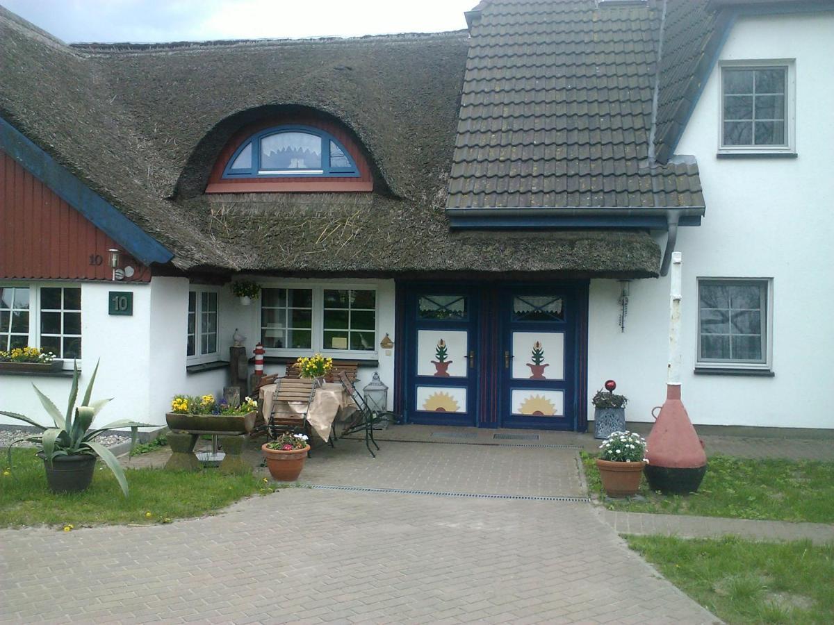 Pension Martens - Gaubenwohnung 维克 外观 照片